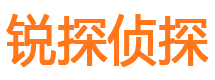 凤城外遇调查取证